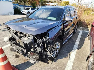 2019 Hyundai Santa FE KMHS381BBKU087945 VIN:KMHS381BBKU087945