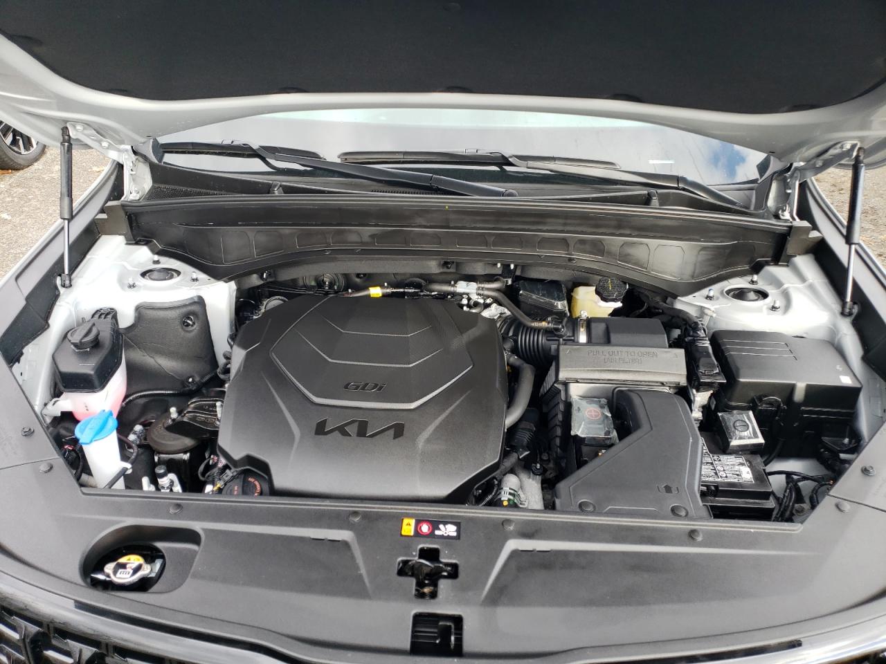 2024 KIA TELLURIDE SX VIN:5XYP5DGC2RG551013