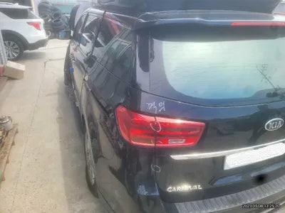 2020 Kia Carnival KNAME811BLS617207 VIN:KNAME811BLS617207