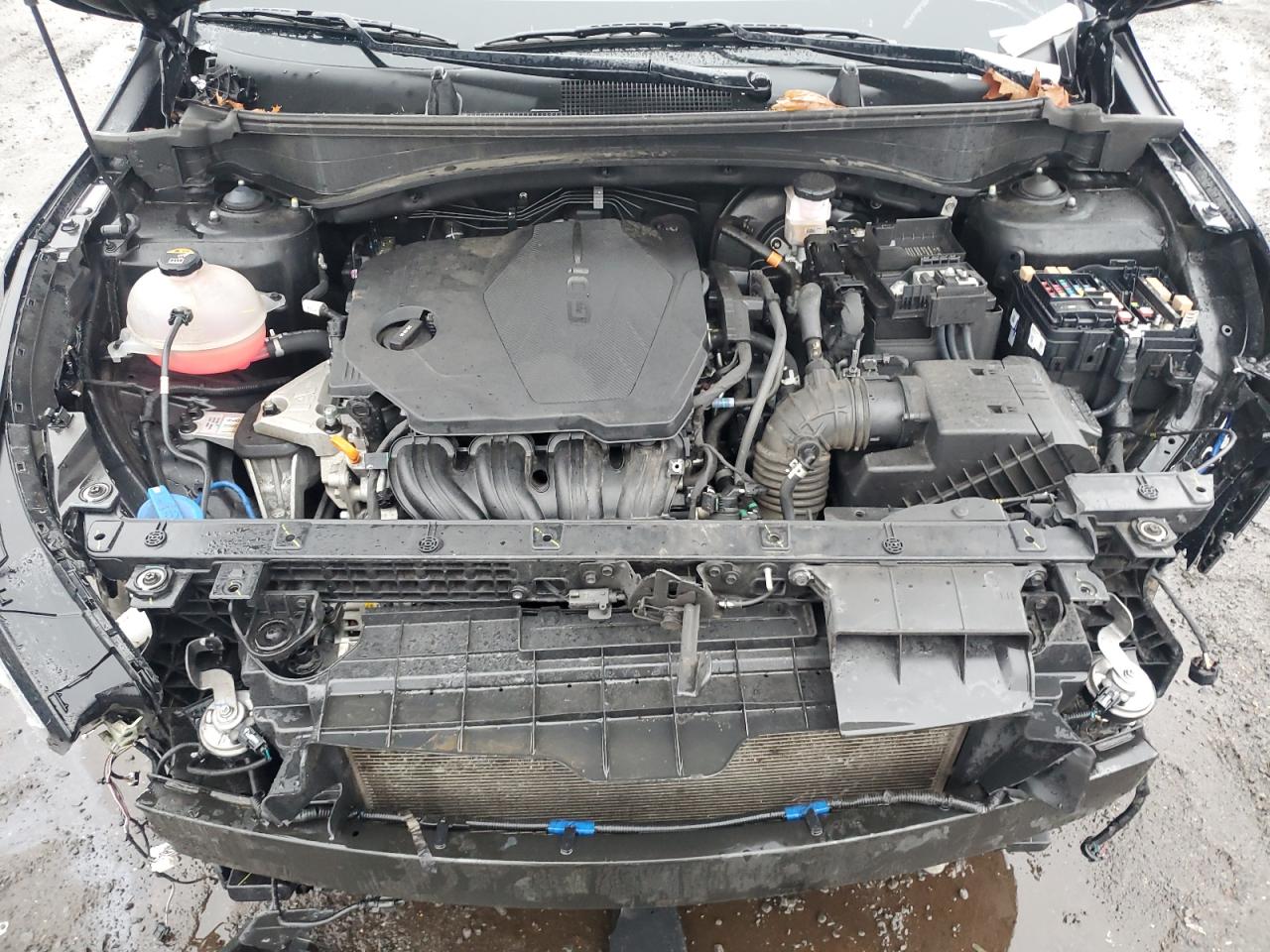 2023 KIA SPORTAGE X LINE VIN:5XYK6CAF1PG123449