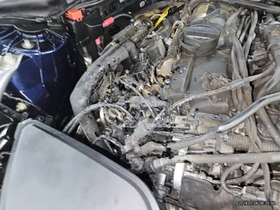 2019 BMW 530 WBAJD9102KB278446 VIN:WBAJD9102KB278446