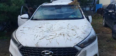 2017 Hyundai Tucson 712KMKMHJ3815GHU3 VIN:712KMKMHJ3815GHU3