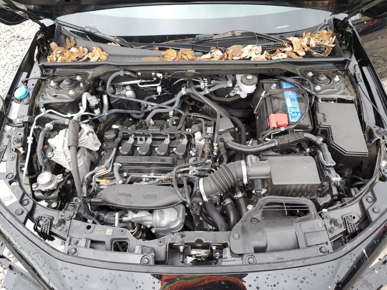 2024 HONDA CIVIC EX VIN:2HGFE1F79RH337007