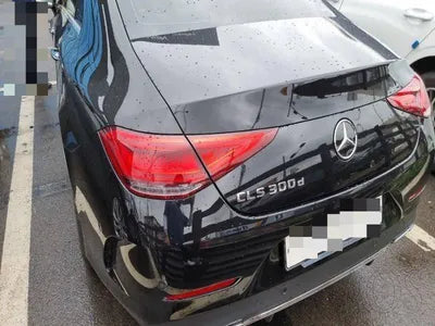 2020 Mercedes-Benz CLS 300 WDD2J1JB5LA054409 VIN:WDD2J1JB5LA054409