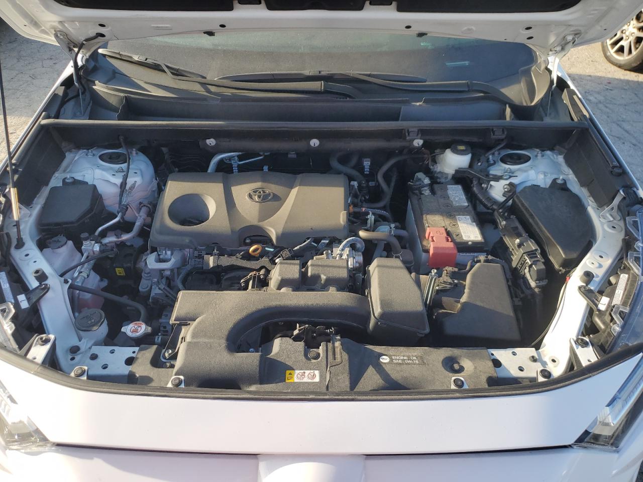 2023 TOYOTA RAV4 XLE VIN:2T3P1RFV6PC377586
