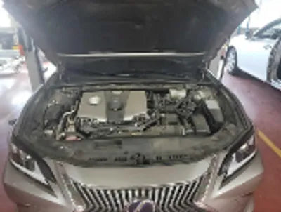 2019 Lexus ES 300 JTHB21B13K2038973 VIN:JTHB21B13K2038973