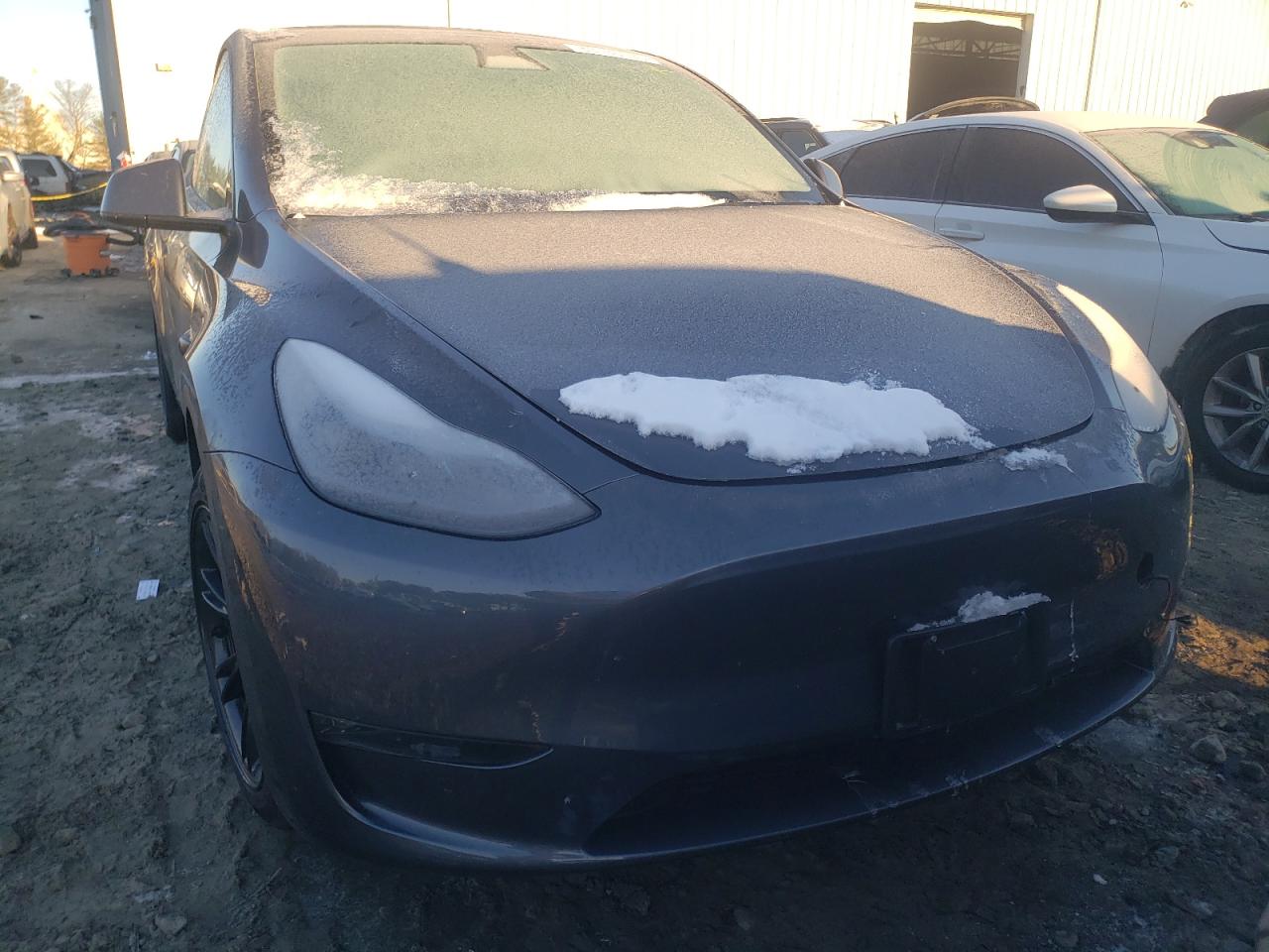 2023 TESLA MODEL Y  VIN:7SAYGAEE8PF942790