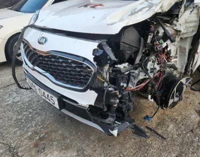 2019 Kia Sportage KNAPM813DKK602604 VIN:KNAPM813DKK602604