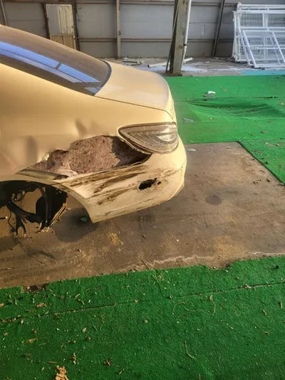 2015 Mercedes-Benz CLS 250 VIN: