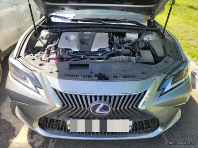 2021 Lexus ES 300 JTHBA1C18M2003186 VIN:JTHBA1C18M2003186