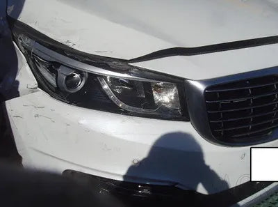 2016 Kia Carnival KNAMB81ABGS126226 VIN:KNAMB81ABGS126226