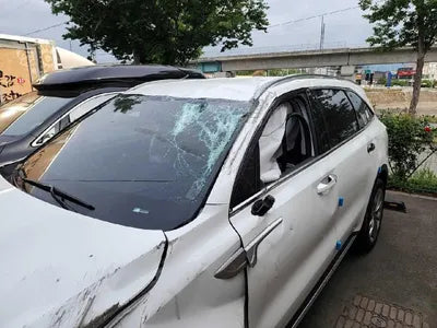 2020 Kia Sorento 715KMKNAPH81ABLA6 VIN:715KMKNAPH81ABLA6