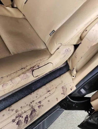 2018 Kia Carnival KNAMB81ABJS359992 VIN:KNAMB81ABJS359992