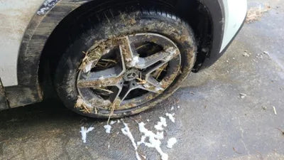 2021 Mercedes-Benz B 250 W1N4M4HB4MW101928 VIN:W1N4M4HB4MW101928