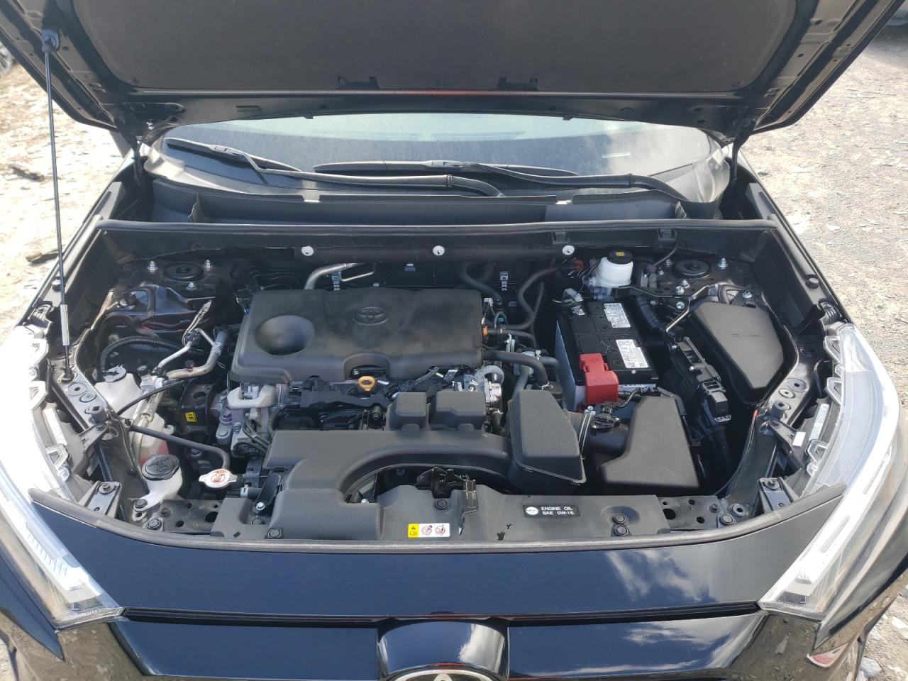 2022 TOYOTA RAV4 XLE VIN:2T3W1RFV7NW191515