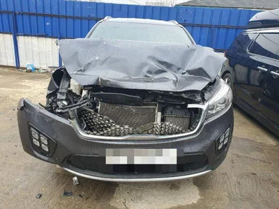 2017 Kia Sorento KNAPS81ABHA354659 VIN:KNAPS81ABHA354659