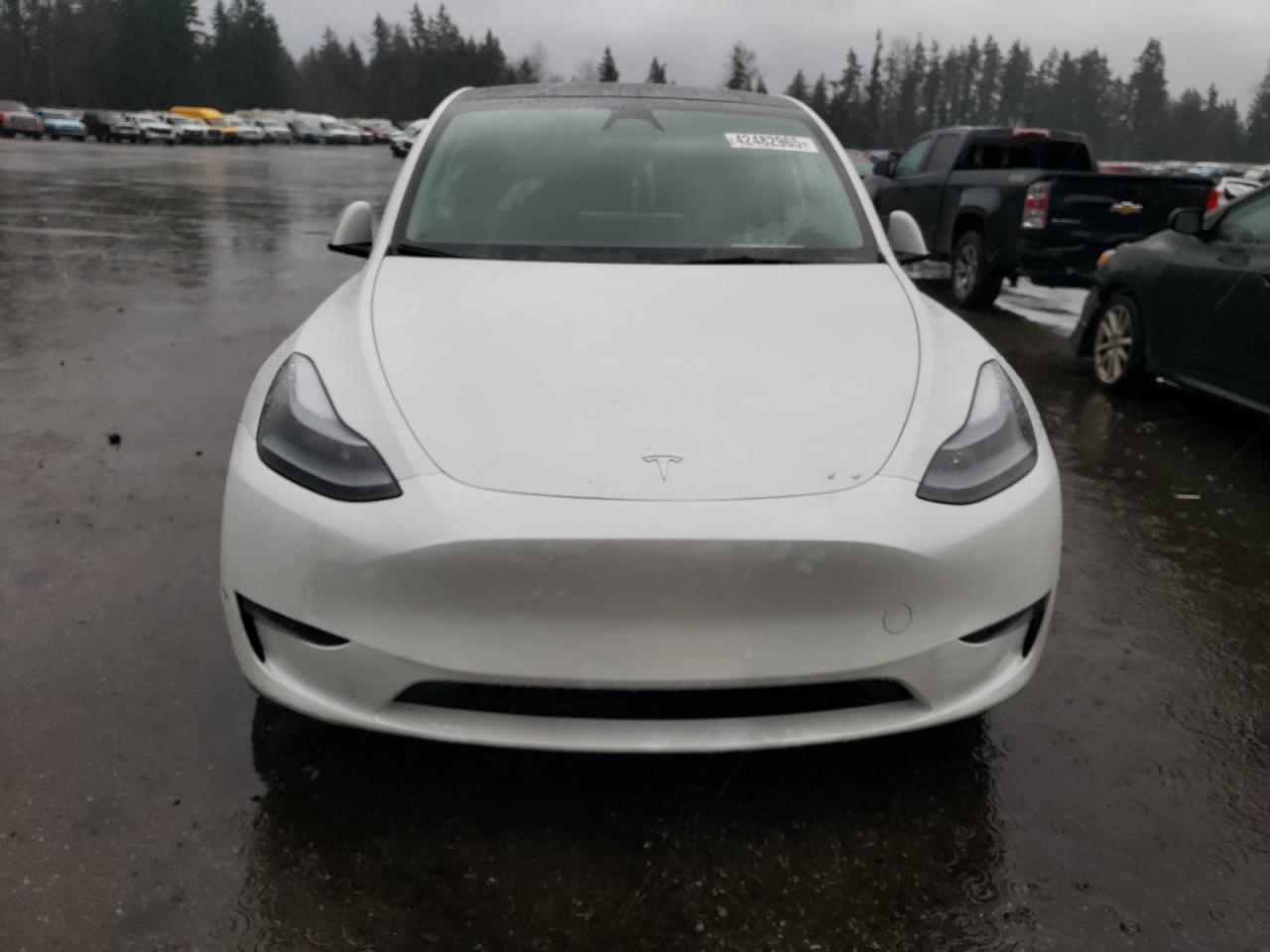 2024 TESLA MODEL Y  VIN:7SAYGDEE8RF193395