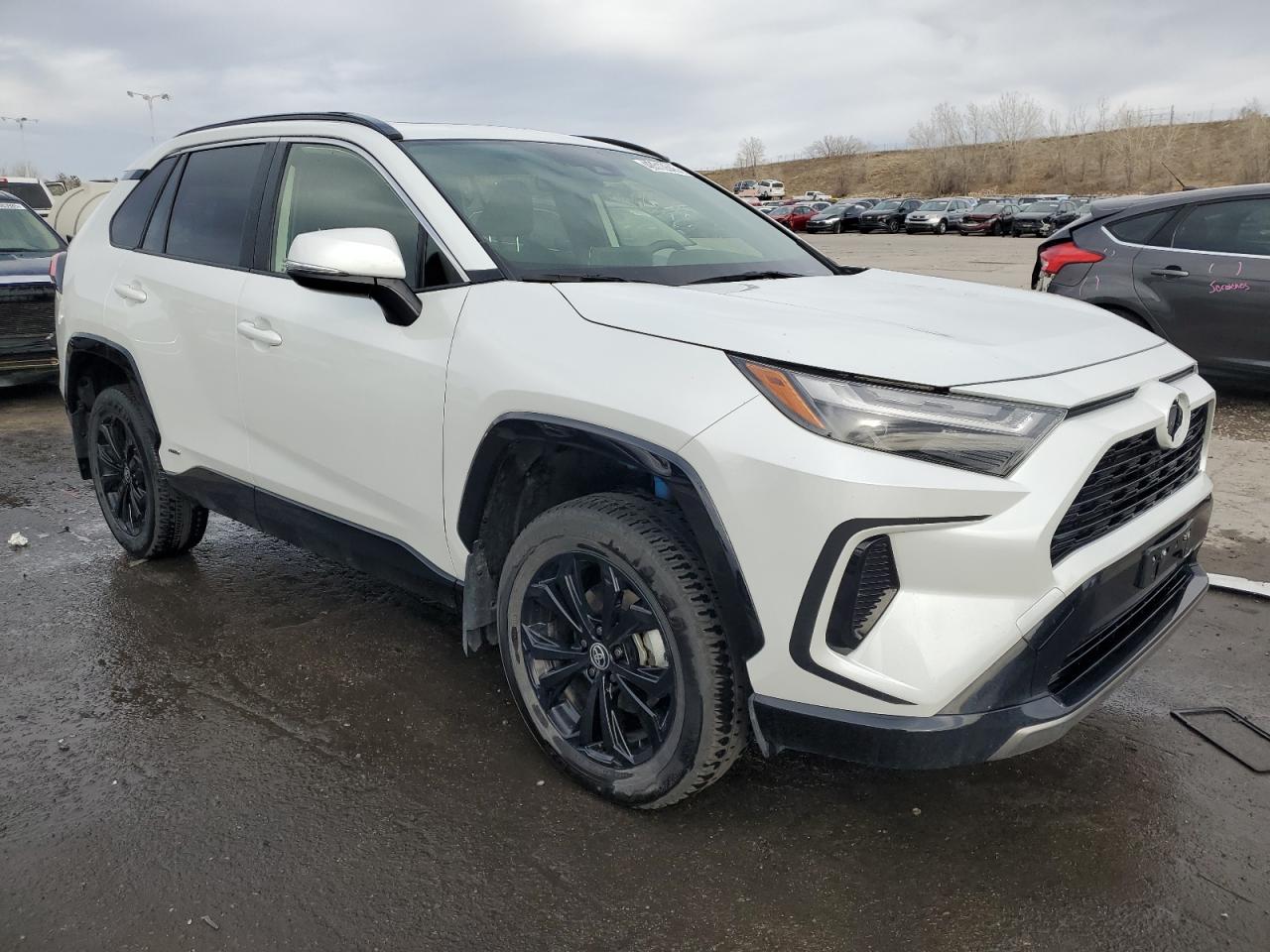 2024 TOYOTA RAV4 SE VIN:JTM16RFV9RJ043348