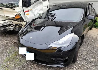 2021 Tesla Model 3 5YJ3E1EB3MF951606 VIN:5YJ3E1EB3MF951606