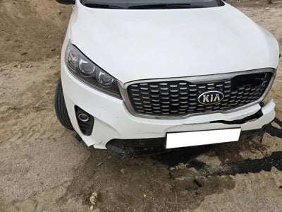 2019 Kia Sorento KNAPG81BDKA540068 VIN:KNAPG81BDKA540068