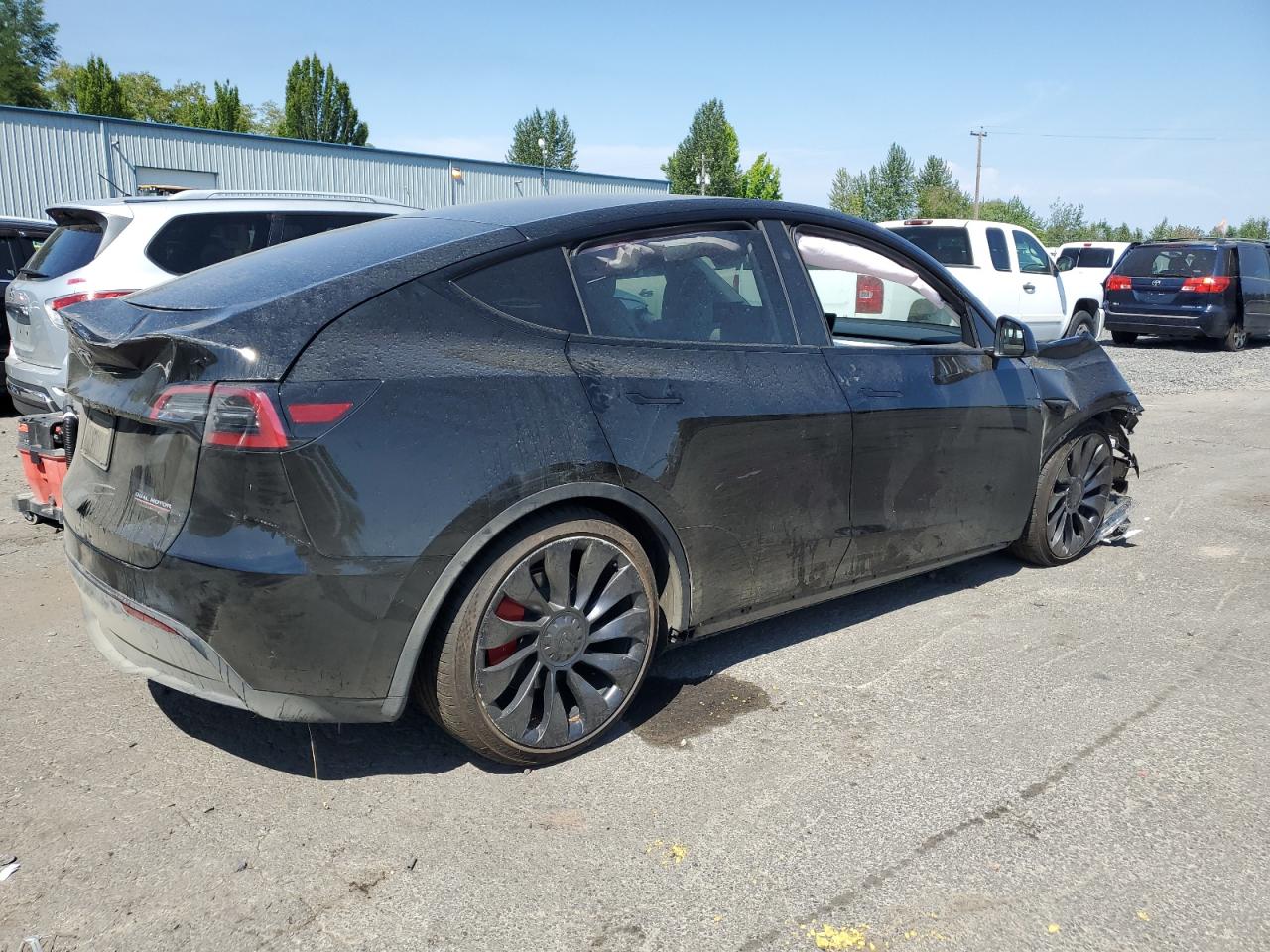 2023 TESLA MODEL Y  VIN:7SAYGDEF2PF814121