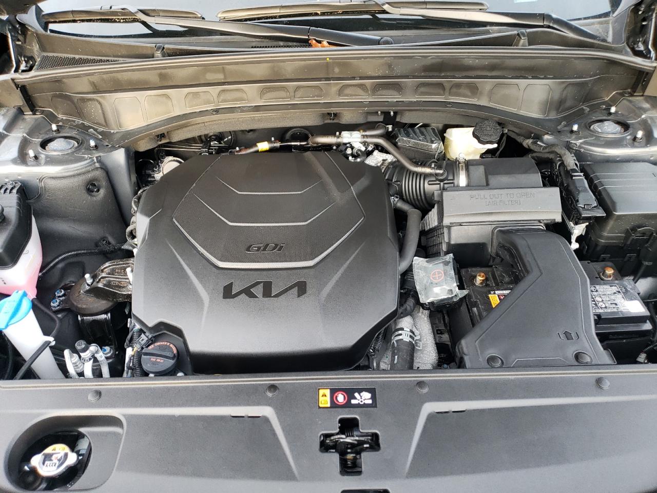 2024 KIA TELLURIDE SX VIN:5XYP5DGC5RG541334