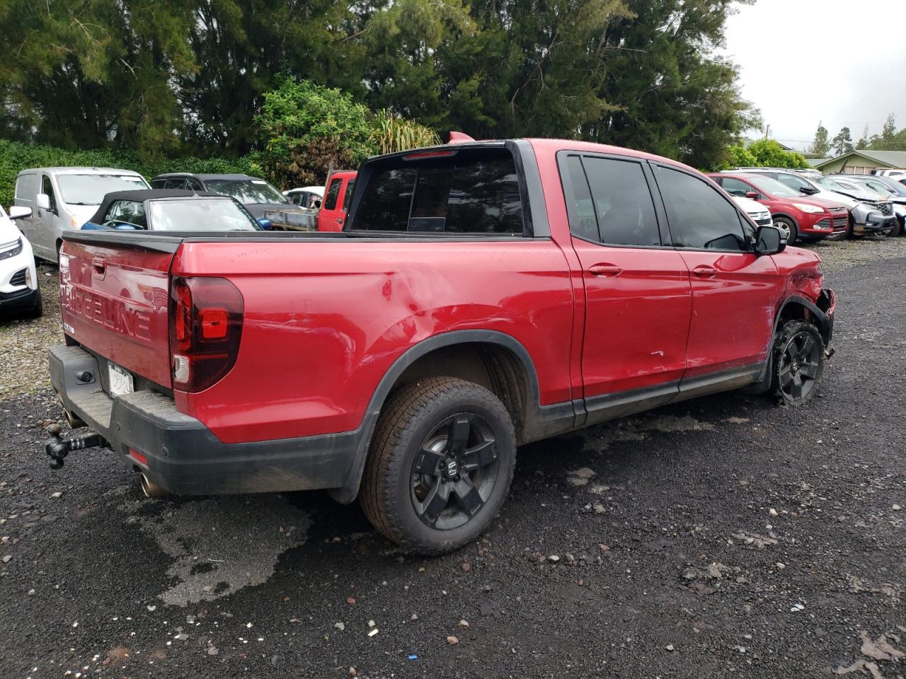 2024 HONDA RIDGELINE BLACK EDITION VIN:5FPYK3F8XRB018670