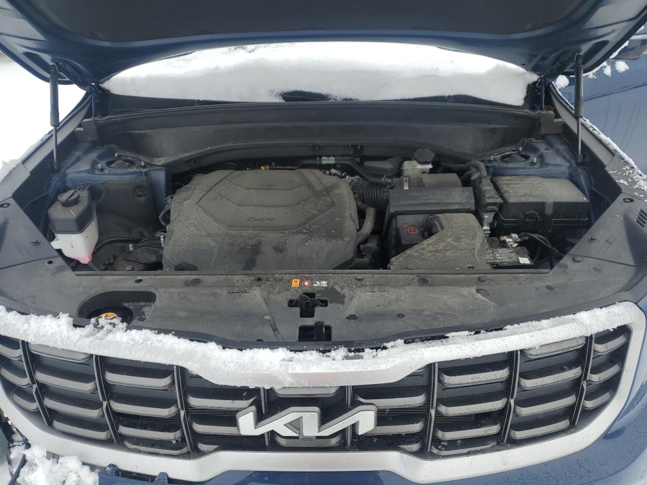 2024 KIA TELLURIDE SX VIN:5XYP5DGC9RG419754