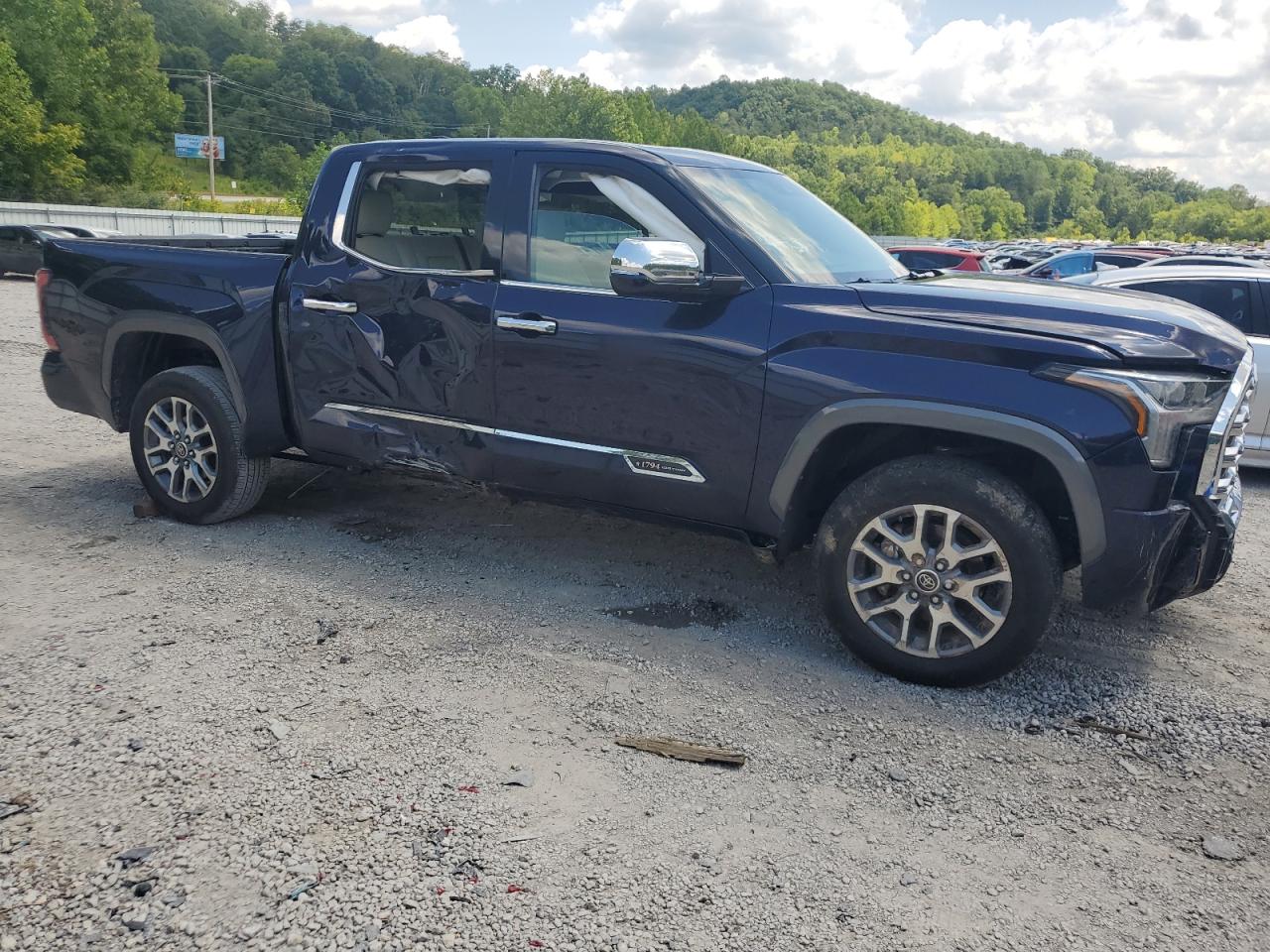 2023 TOYOTA TUNDRA CREWMAX PLATINUM VIN:5TFMA5DB8PX110206