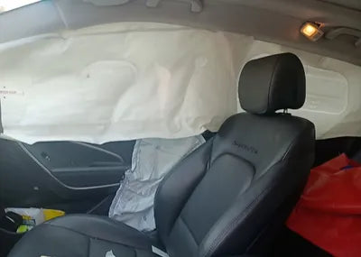 2017 Hyundai Santa FE KMHSW81UBHU731557 VIN:KMHSW81UBHU731557