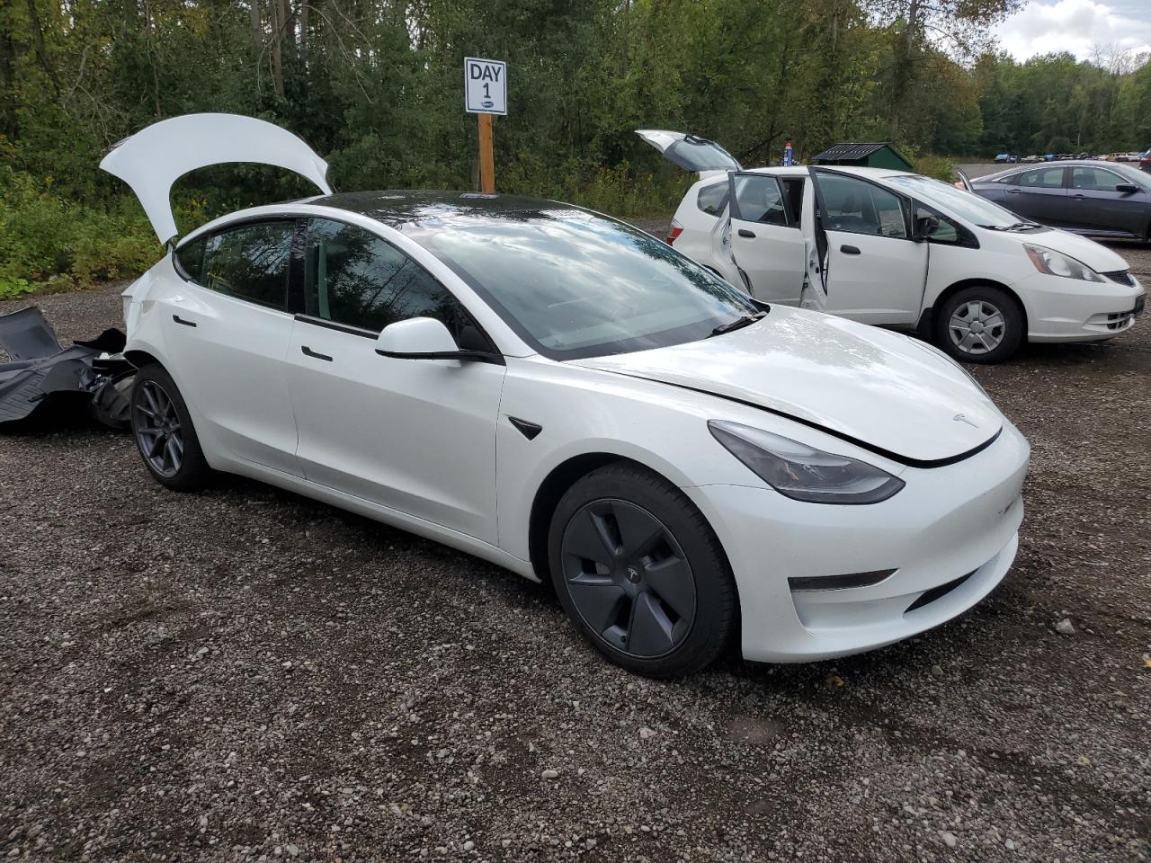 2023 TESLA MODEL 3  VIN:5YJ3E1EA4PF482554