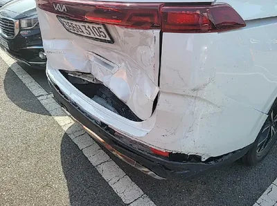 2022 Kia Carnival KNANE81BBNS166263 VIN:KNANE81BBNS166263