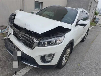 2016 Kia Sorento KNAPS81ADGA254261 VIN:KNAPS81ADGA254261