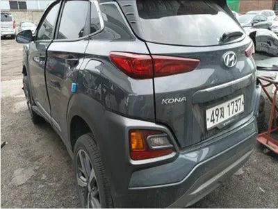 2019 Hyundai Kona KMHK4815GKU387758 VIN:KMHK4815GKU387758