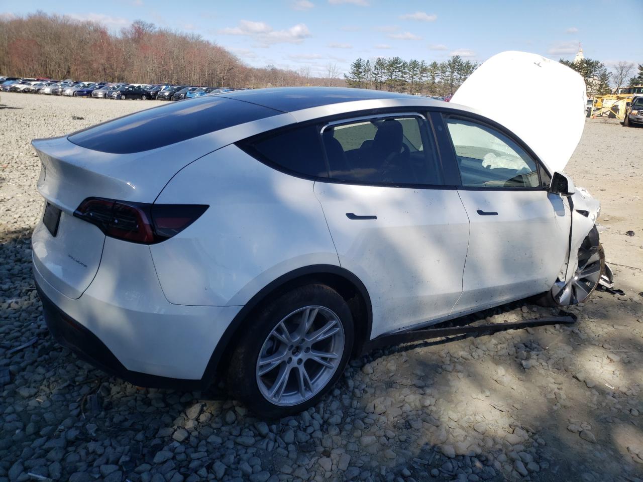 2023 TESLA MODEL Y  VIN:7SAYGDEE1PA073707