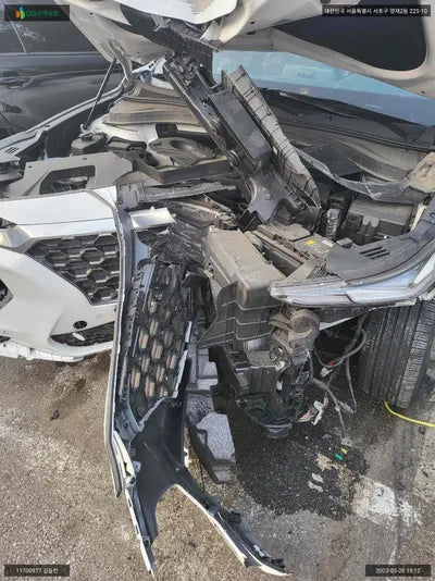 2019 Hyundai Santa FE KMHS381ABLU193107 VIN:KMHS381ABLU193107
