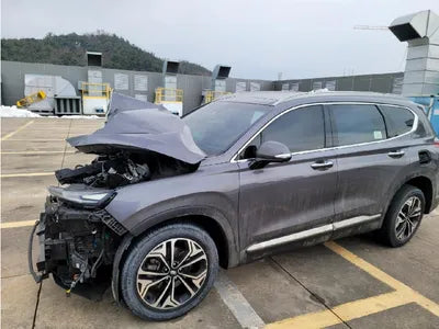 2019 Hyundai Santa FE KMHS381CDKU010058 VIN:KMHS381CDKU010058