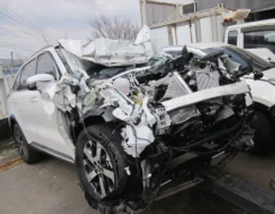 2021 Kia Sorento KNARL81BGNA139785 VIN:KNARL81BGNA139785