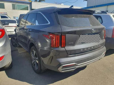 2020 Kia Sorento KNARF81GDMA019140 VIN:KNARF81GDMA019140