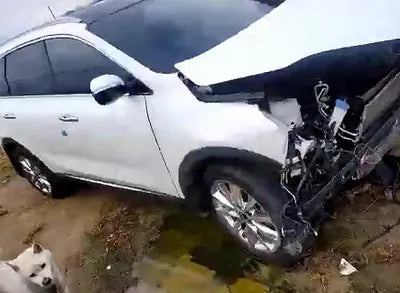 2017 Kia Sorento KNAPK81ABHA369794 VIN:KNAPK81ABHA369794