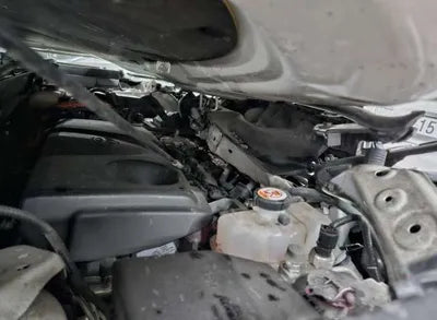 2019 Toyota RAV4 VIN: