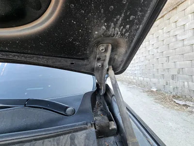 2019 Hyundai Santa FE KMHS381ADKU137756 VIN:KMHS381ADKU137756