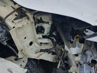 2019 Kia Carnival KNAMB81ABKS556683 VIN:KNAMB81ABKS556683