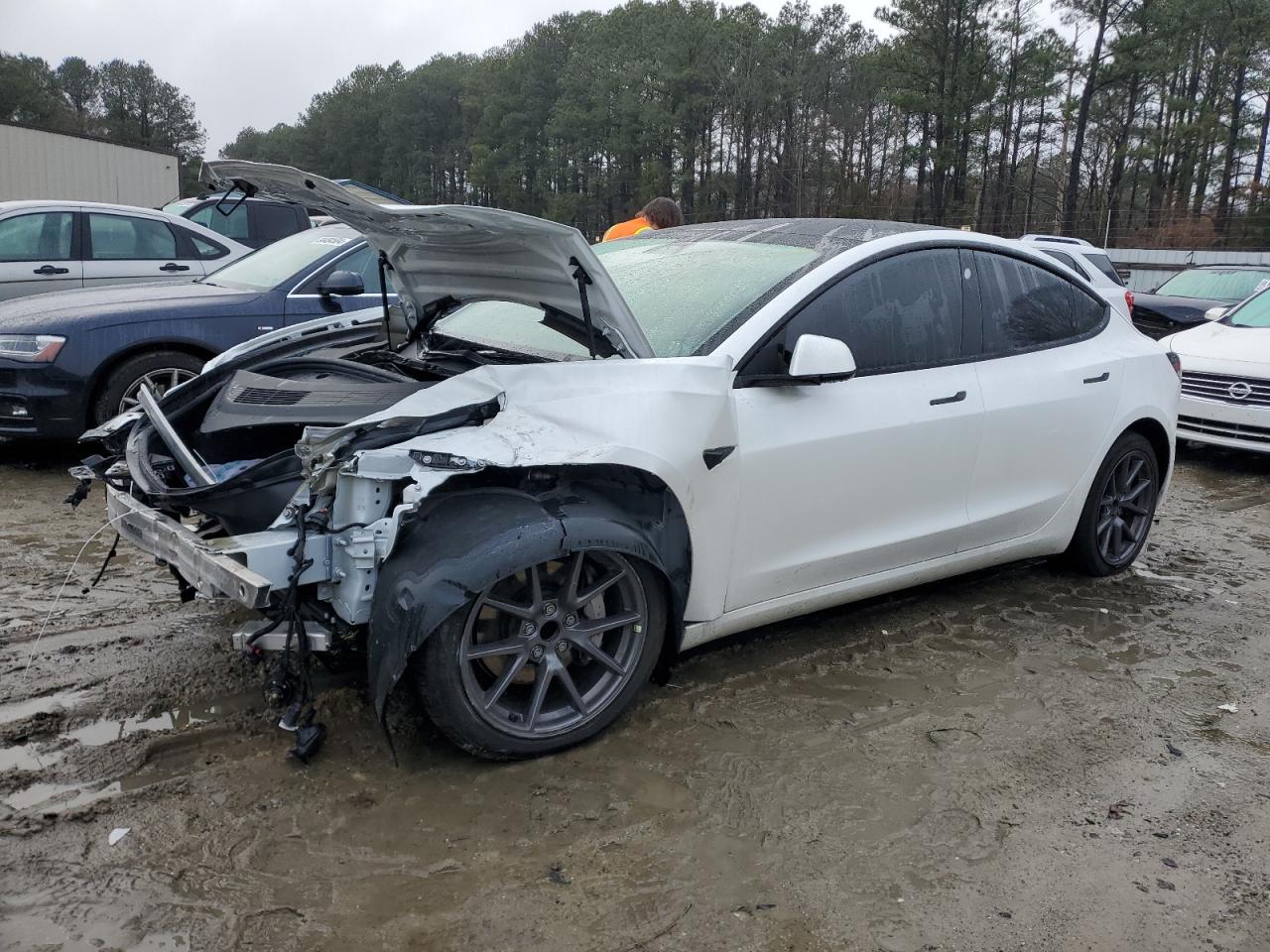 2022 TESLA MODEL 3  VIN:5YJ3E1EA5NF230664