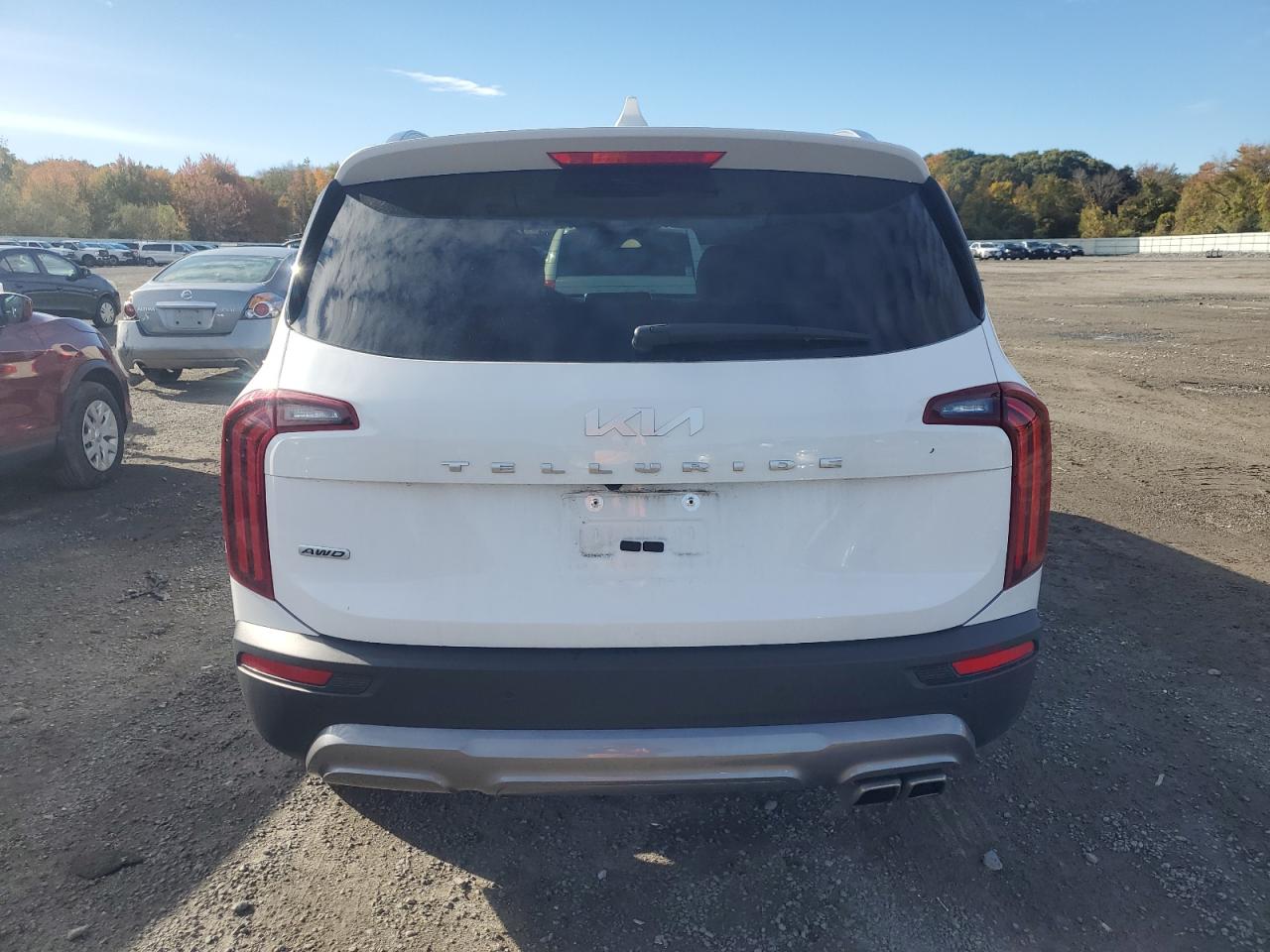2022 KIA TELLURIDE EX VIN:5XYP3DHC4NG310312