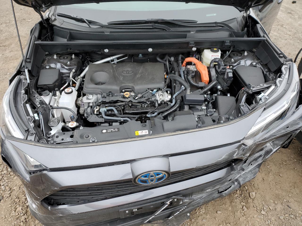 2023 TOYOTA RAV4 XLE VIN:4T3RWRFV1PU107951