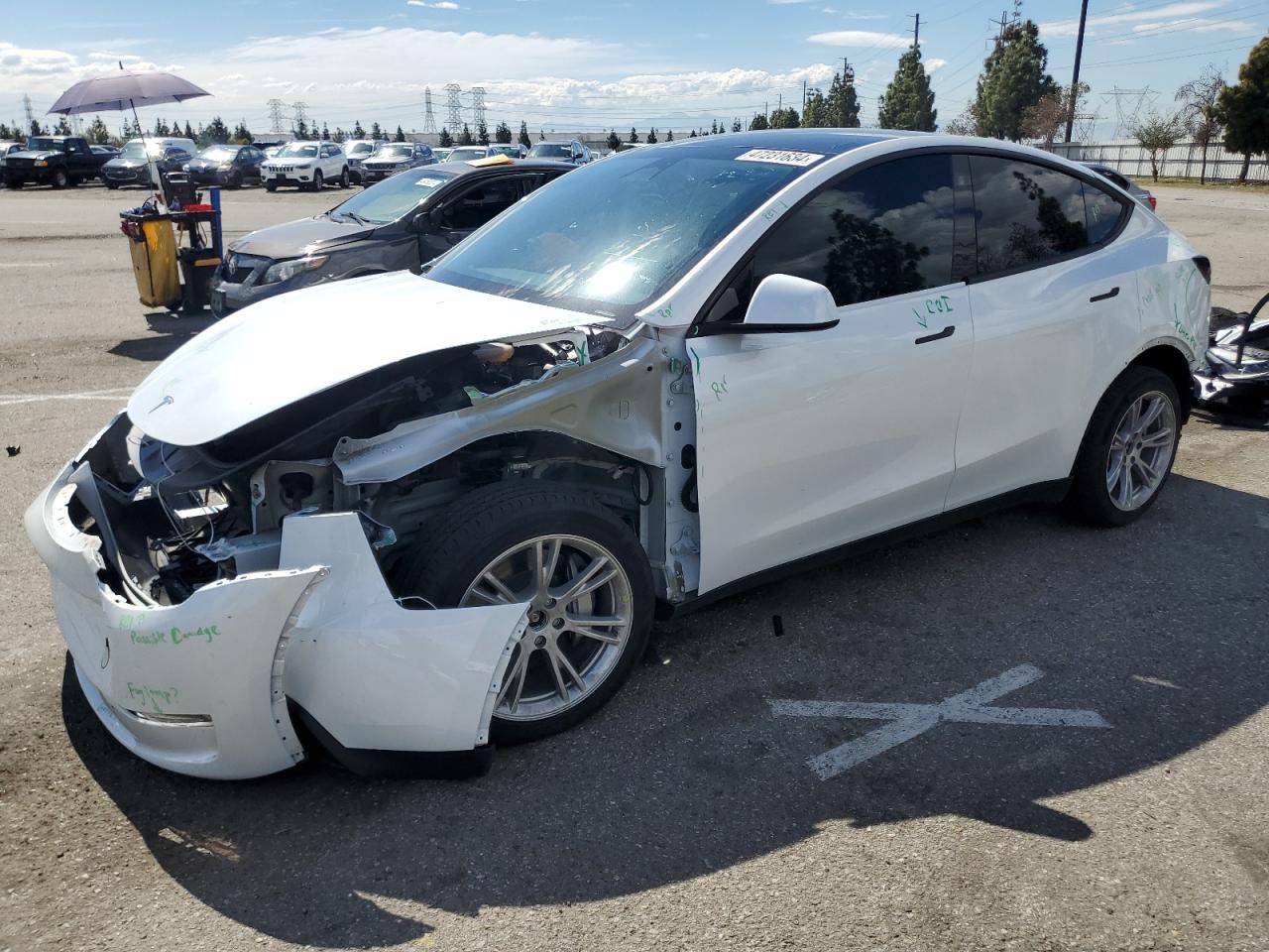 2023 TESLA MODEL Y  VIN:7SAYGDEE2PA041851