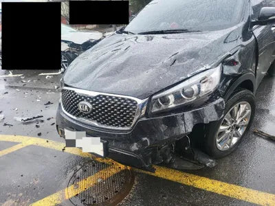 2017 Kia Sorento KNAPS81ABHA319110 VIN:KNAPS81ABHA319110