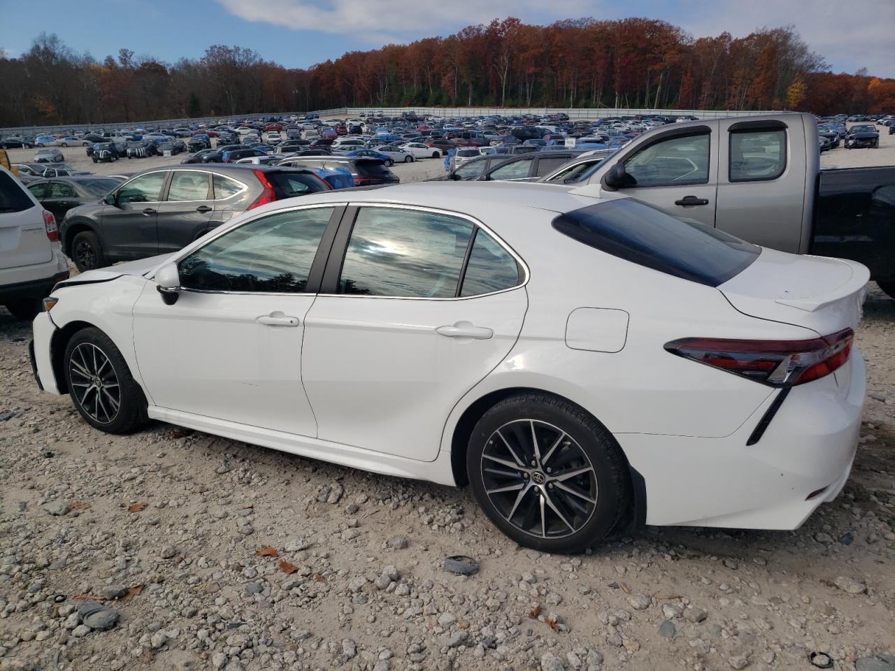 2023 TOYOTA CAMRY SE NIGHT SHADE VIN:4T1T11BK7PU079437