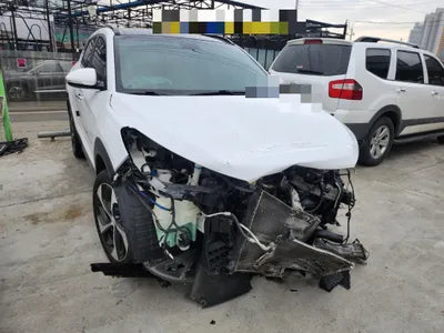 2017 Hyundai Tucson 955KMKMHJ3815GHU2 VIN:955KMKMHJ3815GHU2